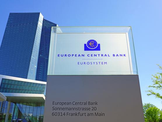 Cheap Loans to Banks Discussed at ECB Meeting, Economic Risk Assessed as “Fragile”