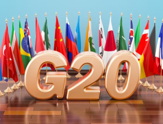 G20