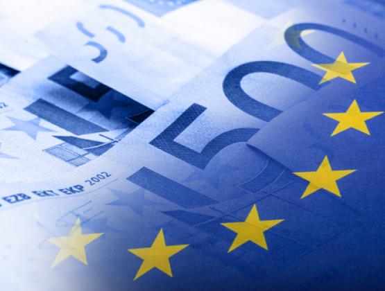 European Union Flag