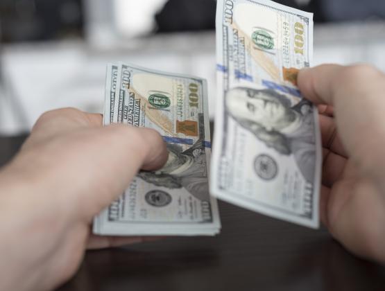 Consumer Spending and Incomes Fall Short of Expectations, Inflation Muted
