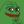 pepe